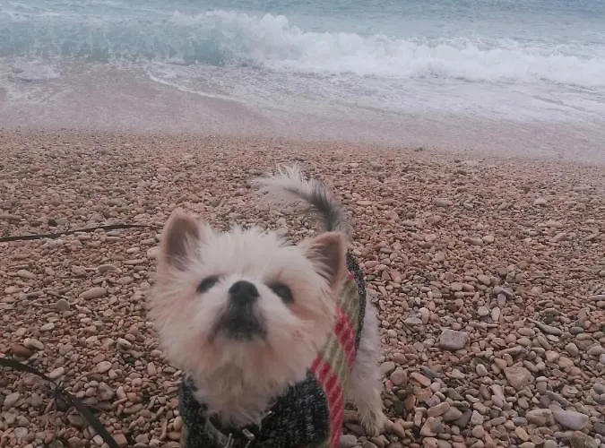 Apartment Apartment Soleil