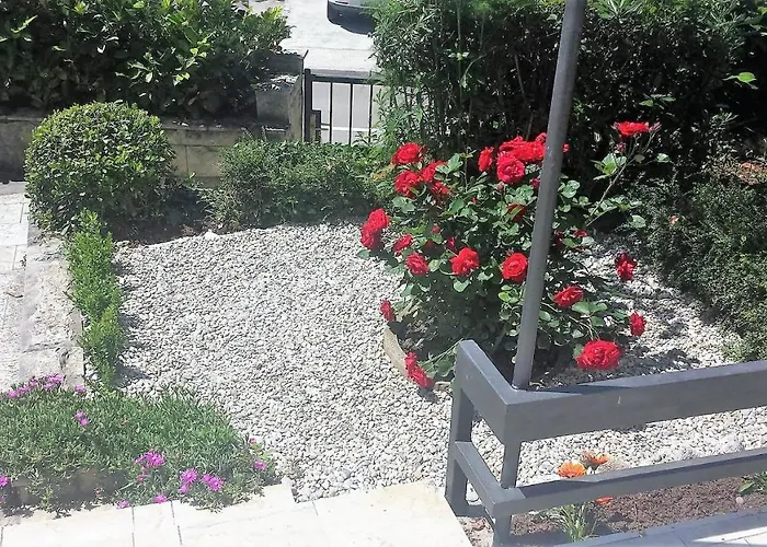 Soleil ツリクヴェニツァ